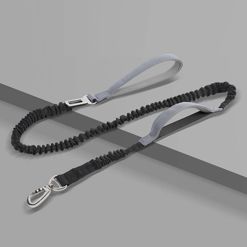 Safe and comfortable dog harness for relaxed walks