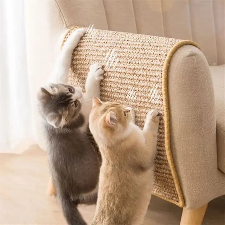 Katzenschutz – Ihre Möbel sicher und Ihre Katze glücklich