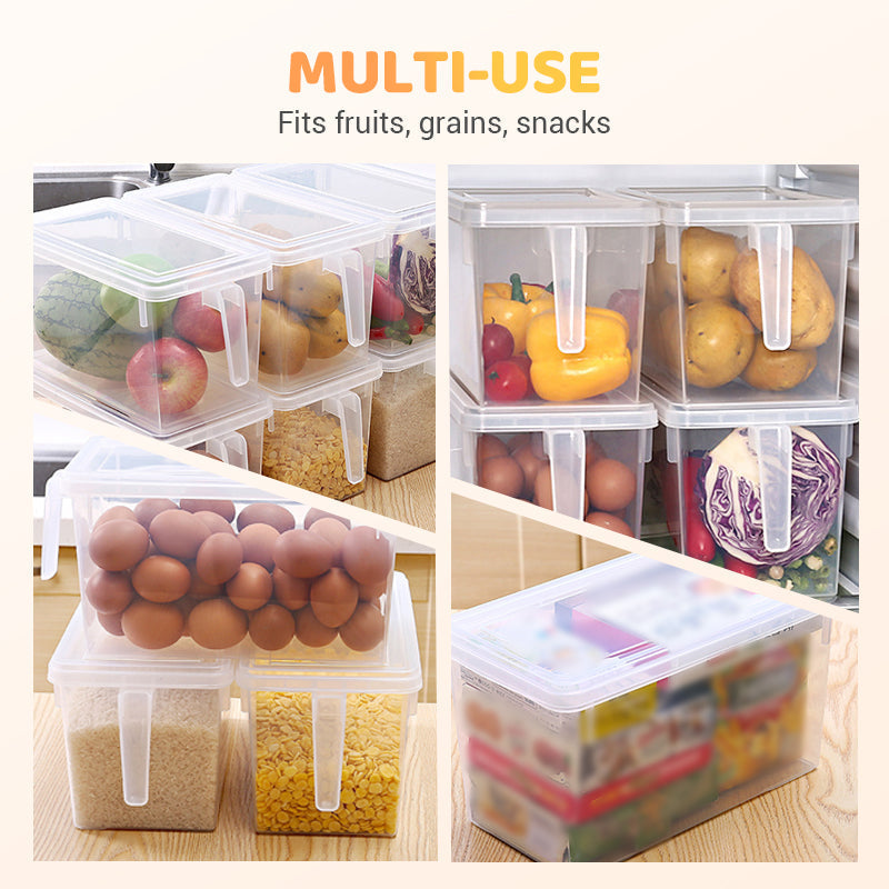 Transparent storage container with practical lid