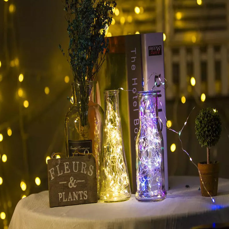 Decorative Copper Wire String Lights with USB Connection