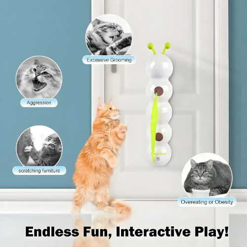 Interactive Wall Toy for Cats to Encourage Activity