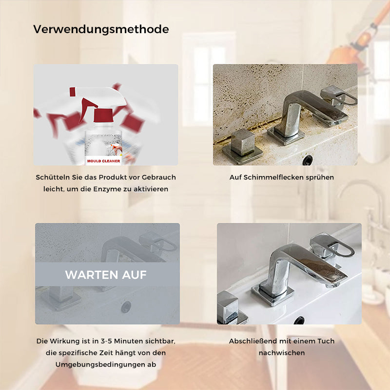 Cleaning Foam against Mold