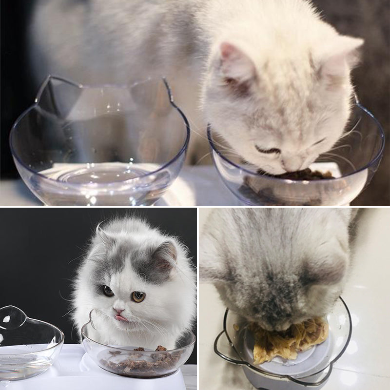 Cat food bowl