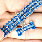 Sparkling Canine Friendship: Stylish Collar