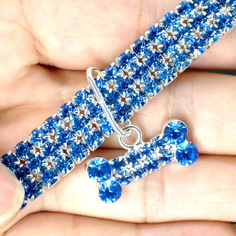 Sparkling Canine Friendship: Stylish Collar