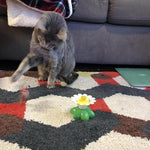 Cat Joy | Interactive Toy for Your Cat