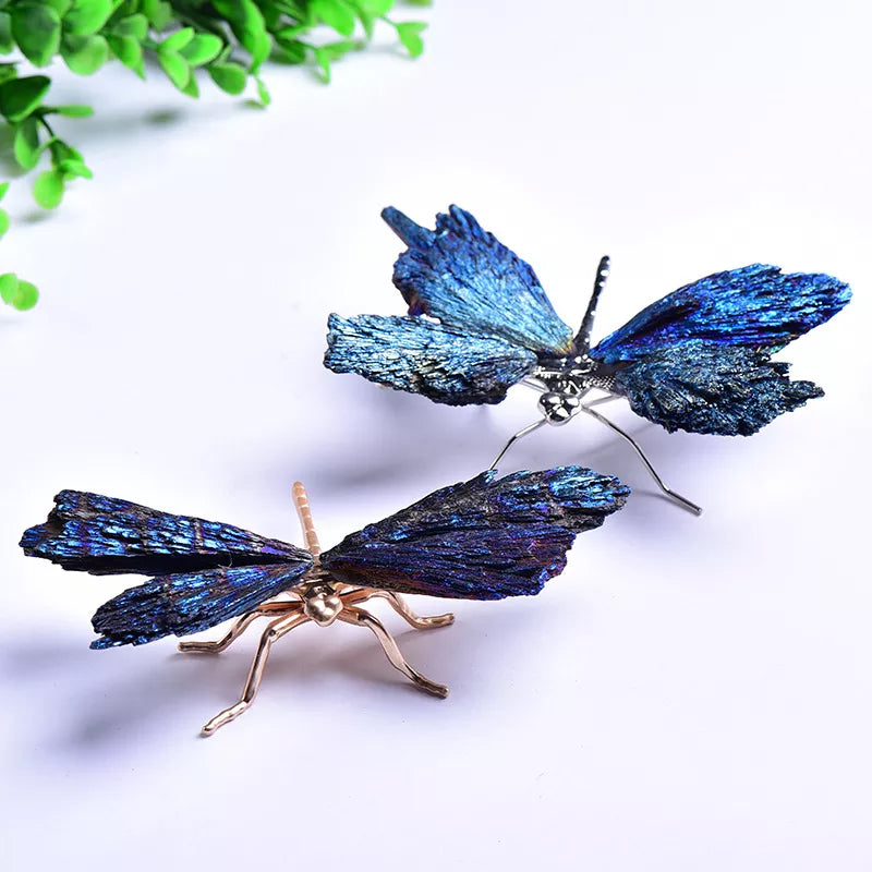 Dragonfly in Tourmaline and Kyanite