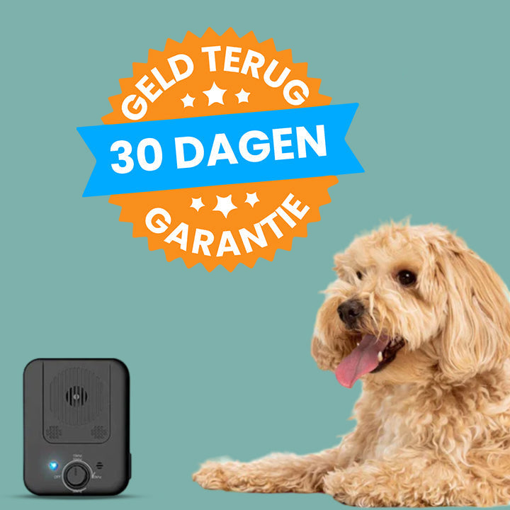 HundeHarmony Geräuschfreies Anti-Bell-System | Schaffen Sie eine ruhige Atmosphäre