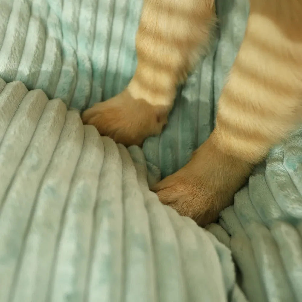 Komfortables Orthopädisches Hundebett für Alle Hunderassen
