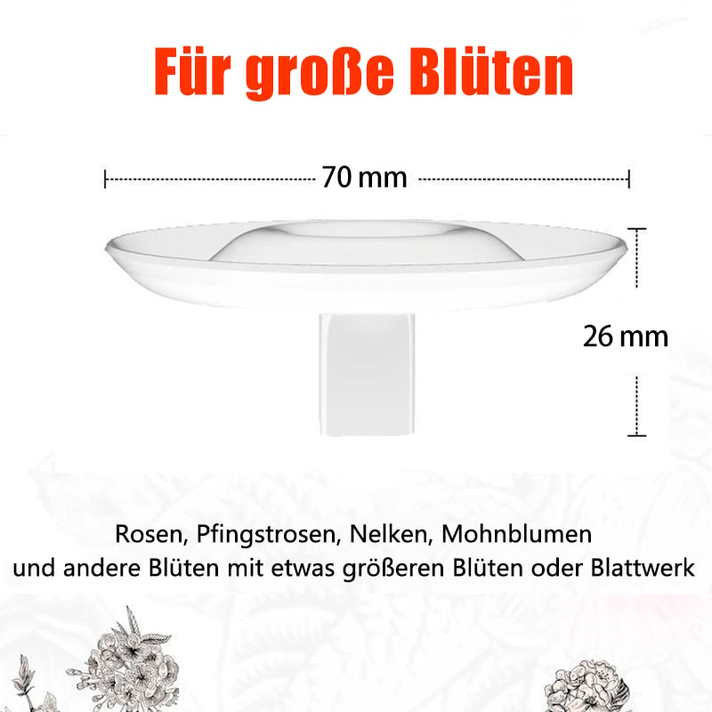 BlütenEleganz – Perfekte Präsentation für Ihre Blumen