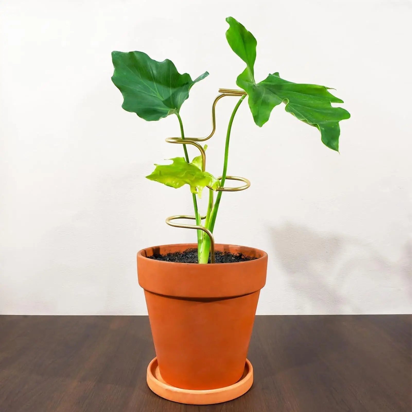 Stabile Pflanzenstütze mit Blattmotiv | 32 cm
