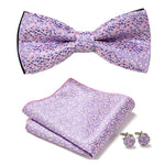 Elegantes Set mit stilvollen Fliegen und Accessoires
