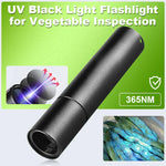 Compact UV Flashlight - 365 nm Blacklight for Home Use