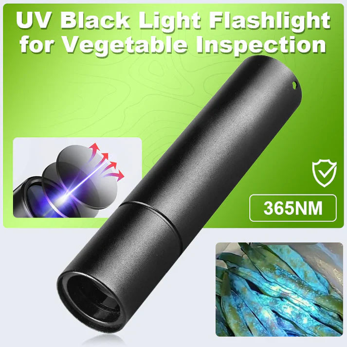 Compact UV Flashlight - 365 nm Blacklight for Home Use