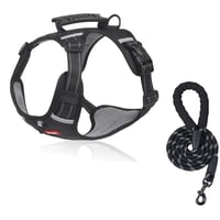 Safe and comfortable dog harness for relaxed walks
