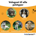 Haarschutz Pro - Für ein sauberes Zuhause ohne Hundehaare
