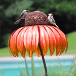 Vogelparadies Blütenhaus – Pflanzen Sie Freude in Ihren Garten
