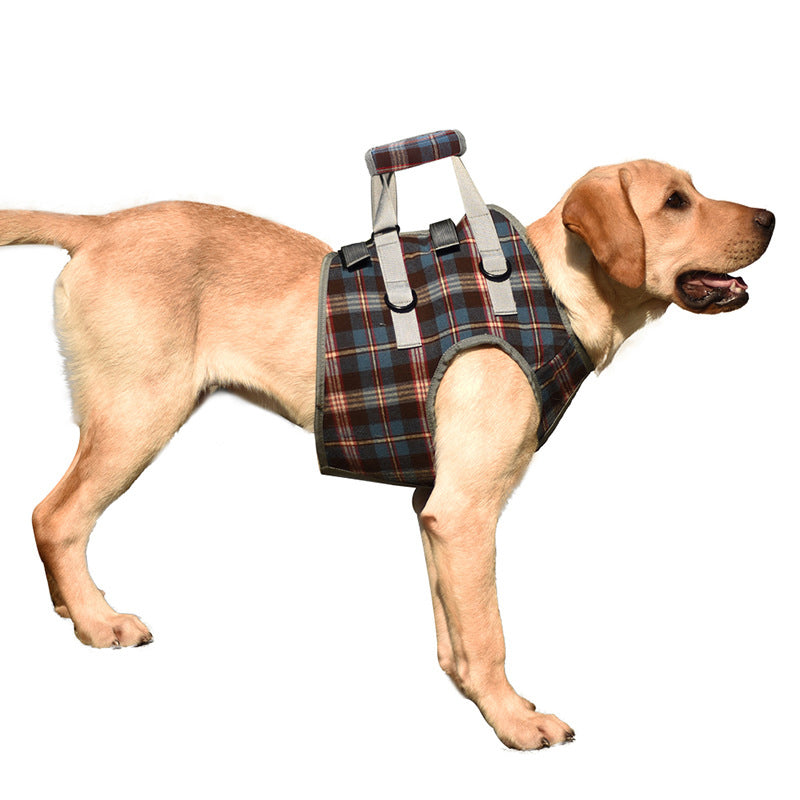 Support harnesses for dogs with hind leg weakness