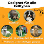 Haarfrei Zuhause - Die perfekte Bürste für Haustierbesitzer