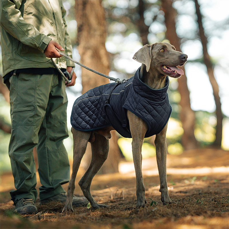 Hunde-Wintermantel – Für warme und sichere Spaziergänge