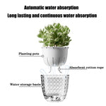 SmartWater Blumenpot mit Selbstbewässerung und transparentem Design