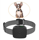Intelligentes Trainingshalsband für kleine Hunde