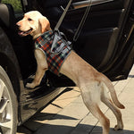 Support harnesses for dogs with hind leg weakness