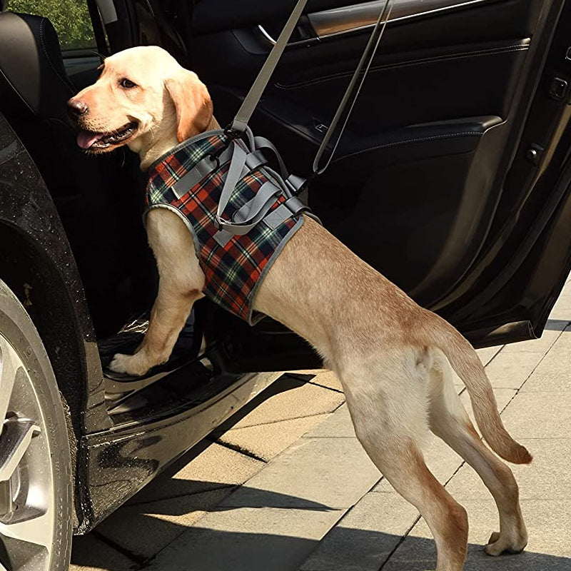 Support harnesses for dogs with hind leg weakness
