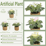 Eukalyptus Traum – Mini Kunstpflanze im geflochtenen Korb | 11 cm