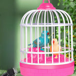 Cage toy with talking birds for children