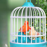 Cage toy with talking birds for children
