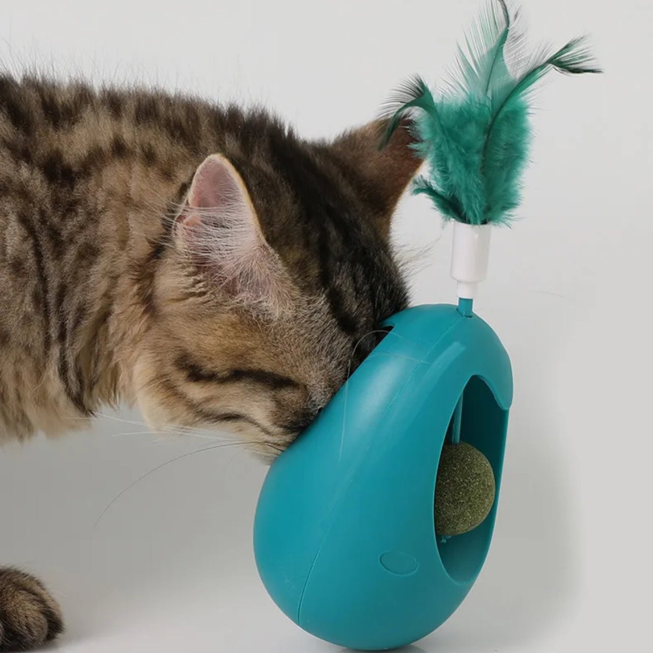 Interactive Catnip Toy for Healthy Activity