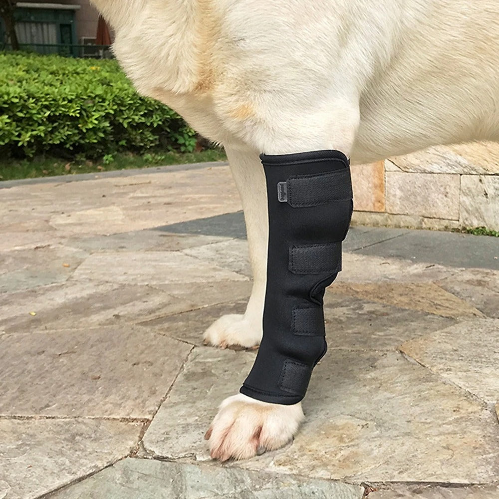 ActivePaw | Knieschiene für schmerzfreie Bewegung und Sicherheit