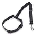 Adjustable car dog leash