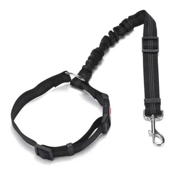 Adjustable car dog leash