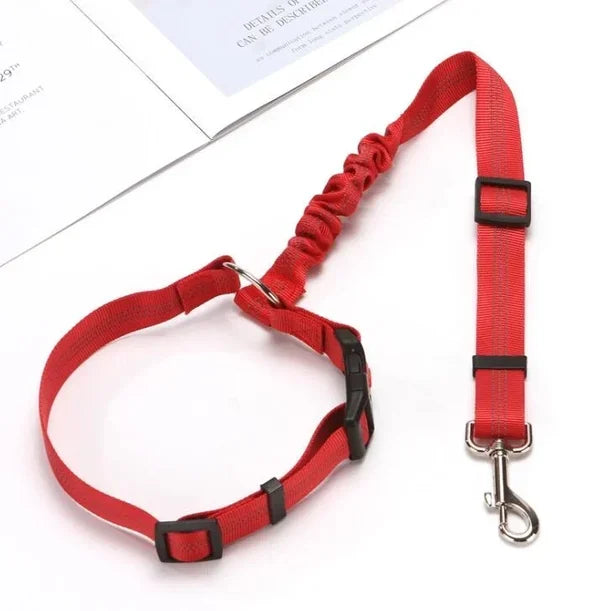 Adjustable car dog leash