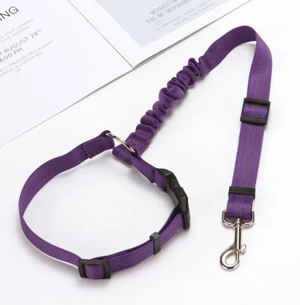 Adjustable car dog leash