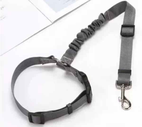 Adjustable car dog leash
