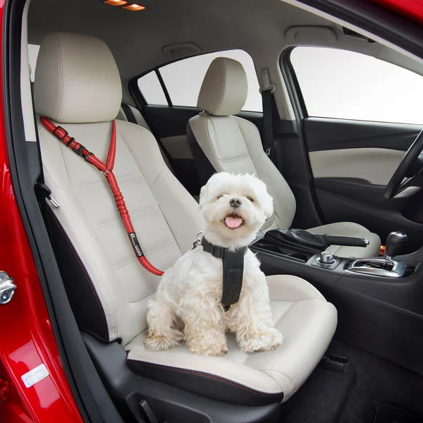 Adjustable car dog leash