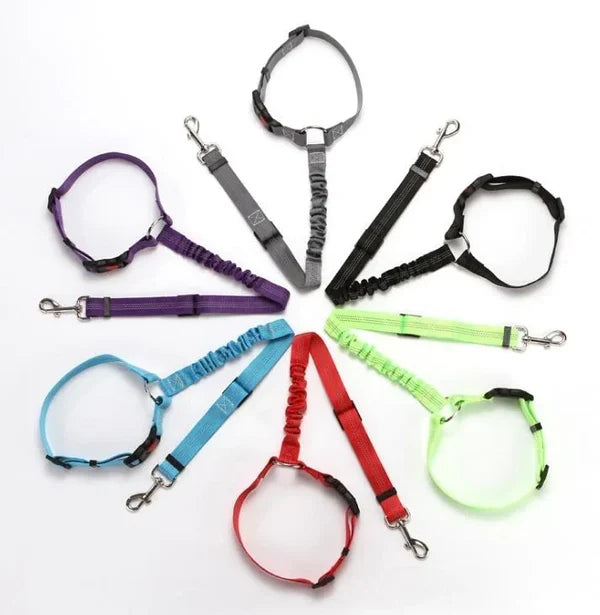 Adjustable car dog leash