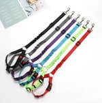 Adjustable car dog leash