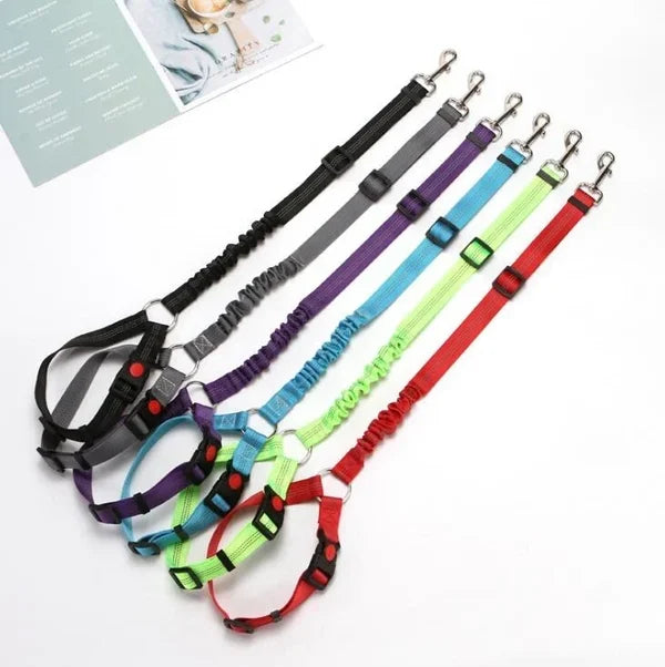 Adjustable car dog leash