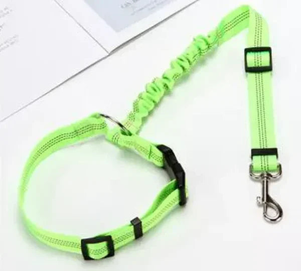Adjustable car dog leash