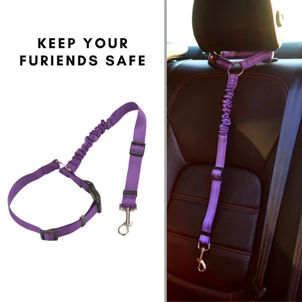 Adjustable car dog leash