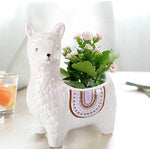Cute Alpaca Pots for Succulents