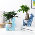 Cute Alpaca Pots for Succulents