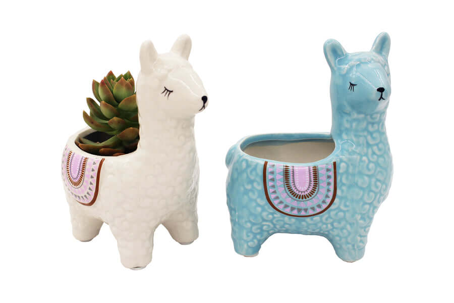 Cute Alpaca Pots for Succulents
