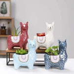 Cute Alpaca Pots for Succulents