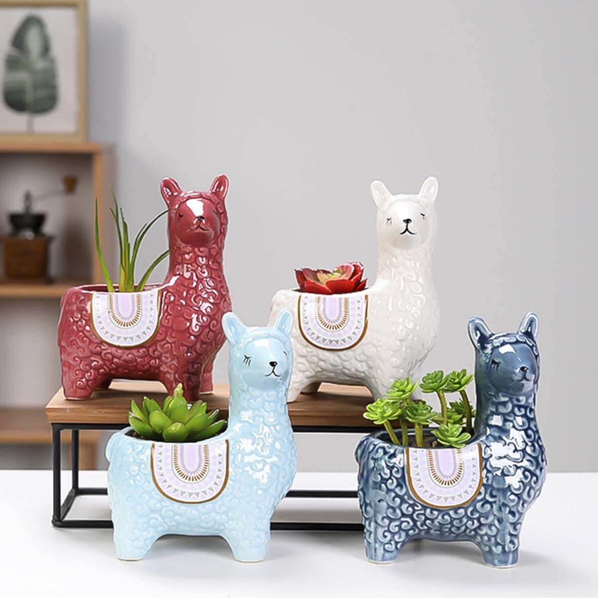 Cute Alpaca Pots for Succulents