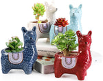 Cute Alpaca Pots for Succulents